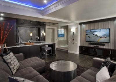 Hamptons Basement Project